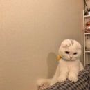 구리 갈매 카페 추천｜수풀림 아쿠아카페 솔직 후기