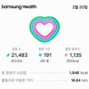 국도2호선 가시나무 가로수길 | 망덕 '광양 선소터'에서 하동 섬진교 입구 신원 로터리까지 걷기