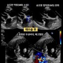 최수환농장 이미지