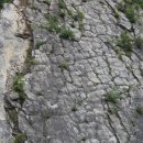 스트로마톨라이트 이미지