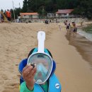 추암오토캠핑장 이미지