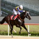 반석축산 이미지