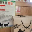 고산흑염소 이미지