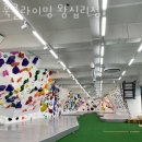 훅클라이밍