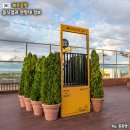 비콤마카페(일반음식점) | 제주공항 내 음식점 식당가 4층 푸드코트 전망대 가는법