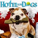 호텔 독스 이미지