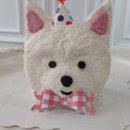 댕냥이 점빵 이미지