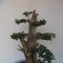 제천제일고등학교 이미지