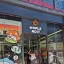 M25. 강남역_메이플 아지트 다녀온 후기_메이플 월드_메이플 아지트 내돈내산