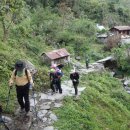 돌산가축 이미지