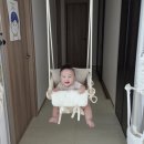 달그네 | 라라비 점퍼루,철봉 1살4살 아이 육아템 알차게 쓰고 있는 베스트 중 하나(+그네, 해먹)