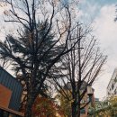 주관적 시간 | 연극 <조씨고아 : 복수의 씨앗> 주관적인 후기