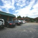 시탕뿌리 이미지