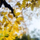 인문학 북클럽 이미지