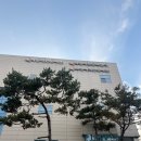 마도작은도서관 | [보다/화성시] 영화 '위키드' 화성시 마도 작은 영화관 관람 후기