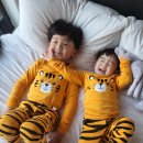 카펠라스파펜션