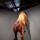 무제2007 이미지