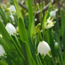 토마토빌리지펜션 이미지