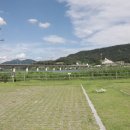 칠곡보 오토캠핑장 이미지