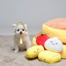 스튜디오 눕 이미지