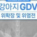 인제메디컬센터 이미지