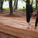 수원-1784 이미지