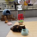 새롬민박 이미지