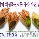 경기지역 희귀특산식물 종자 사진 전시회 이미지