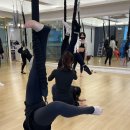 분당-138 이미지