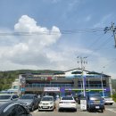 피터펫카페 가덕도점 이미지