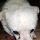 성천농장 이미지