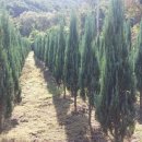 신세계농장 이미지