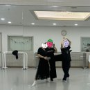 봄을 맞이할 새도 없이 꽃잎이 떨어진다. - 대청호벚꽃마라톤 후기