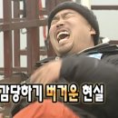 속초 오징어 어시장 이미지