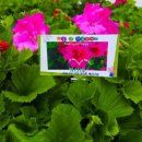 아이뜨리어린이집 이미지