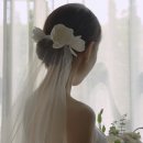 스튜디오그로우 이미지