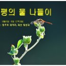 괴곡리 티스토리