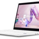 프로(311) 이미지