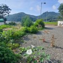 김상덕선생과 반민특위 이미지