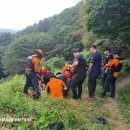 63년생 남 좌측발목골절 이미지