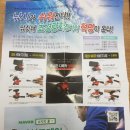낚시용품 선상, 좌대낚시에 좋은 피싱코레인