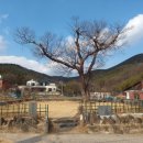 충효큰마을 이미지