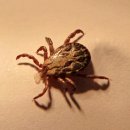 재인약품 이미지