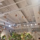 명동 카페 디저트가 맛있는 명동 사랑방 어반 플랜트 명동 (Myeongdong Cafe URBAN PLANT)