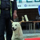 고봉이네 이미지