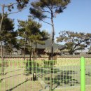 산대3리 이미지