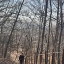 석성산 등산로 | 용인 석성산 등산 다녀온 후기 정상 전망이 시원했던 하루