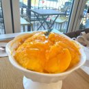 [광명] 광명 생망고빙수 맛집 카페 시엘로 내돈내산 후기