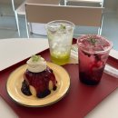 11545-08-00-27 | 부산 센텀 카페 분위기·맛 다 잡은 재송동 브랜드하이커피