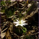 영암군청 이미지